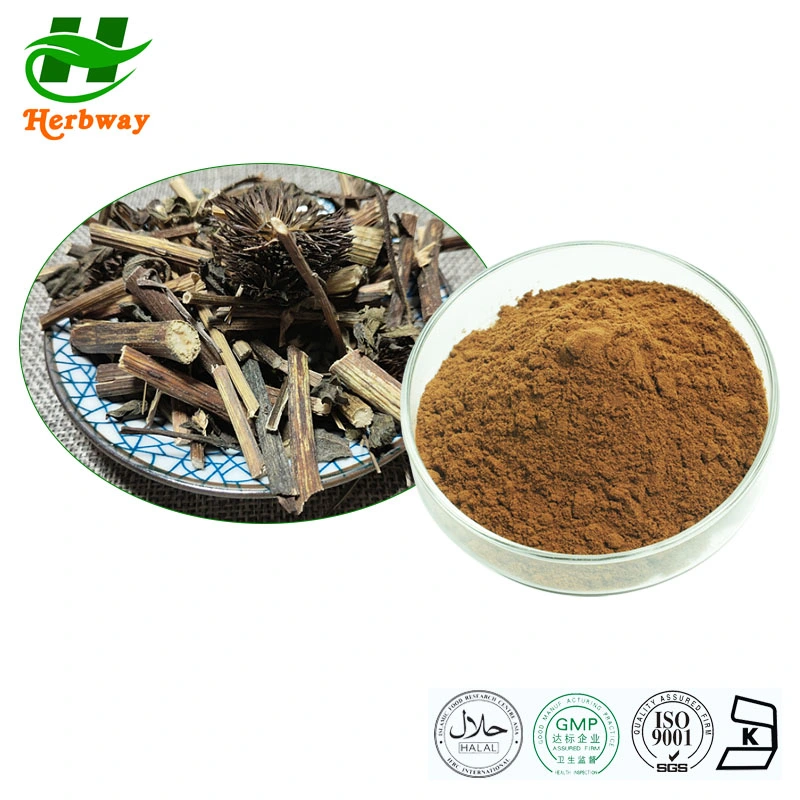 Herbway Botanical Powder 4% Chicoric Acid Echinacea Angustifolia Echinacea Purpurea Extract