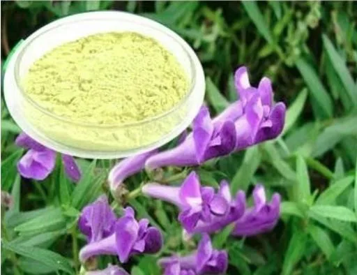 E. K Herb Factory Price Free Sample 100% Natural Herbal Extract Food Cosmetic Grade Scutellaria Baicalensis Extract Baikal Skullcap Root Extract