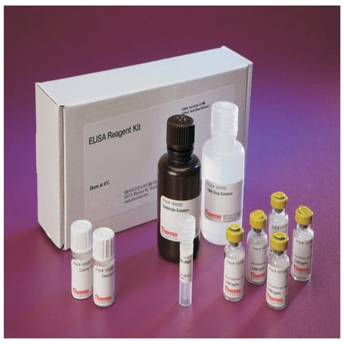 Anti Proteolipid Protein 1 Elisa Kits