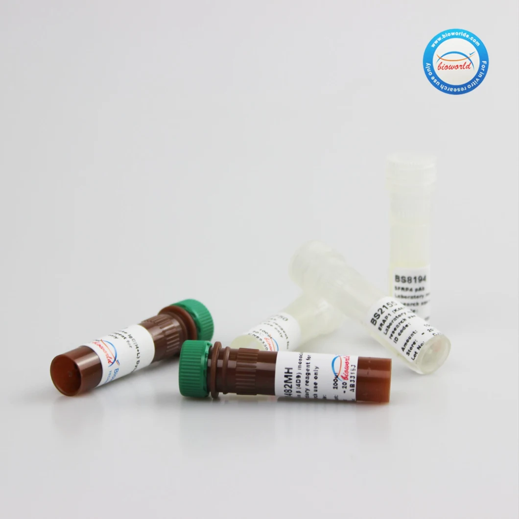 Recombinant Human Follicle-Stimulating Hormone (FSH) Protein