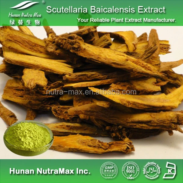 Pure Scutellaria Extract with Baicalin 10%-95%