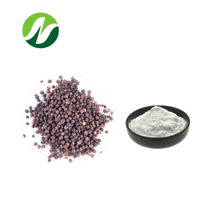 高品質ピペリンパウダー 10%-95% 黒胡椒抽出物
