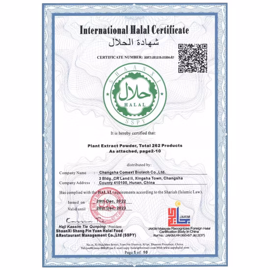 エキナセア プルプレア ハーブウェイ エキス 0.4% - 4% エキナセア プルプレア黄褐色粉末高品質植物エキス ハーブエキス 純粋な天然食品添加物